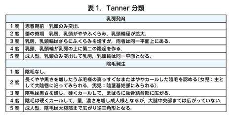 タナー段階|タナー段階とは？ わかりやすく解説